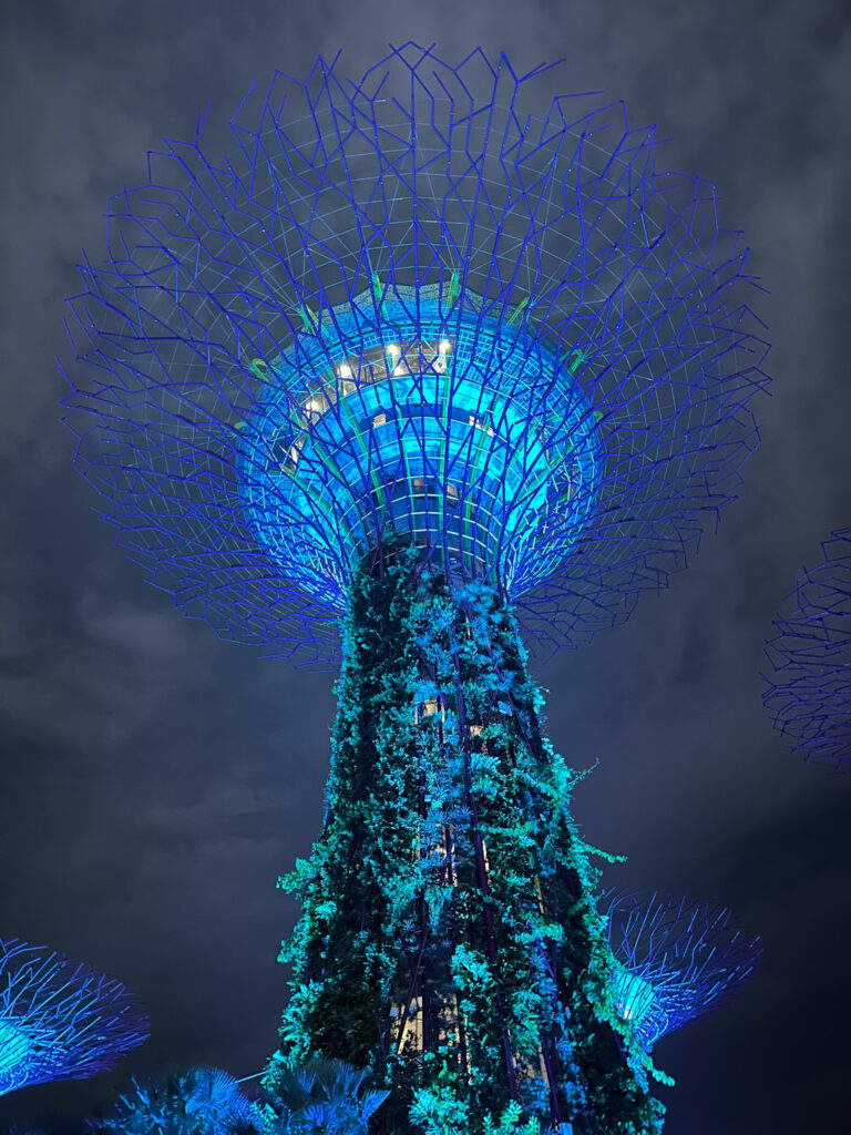 Gardens by the Bay Supertree lit up at night