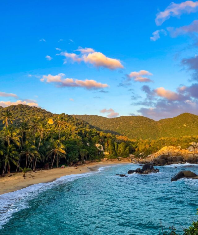 Mountain and forest collide right into serene beach