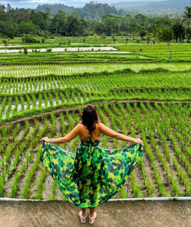 2-Week Bali Itinerary: How We Traveled Bali Using Points & Miles