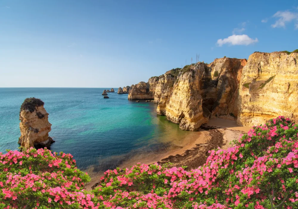 ✈️ Fly Business Class to Portugal for Just 50k Points!