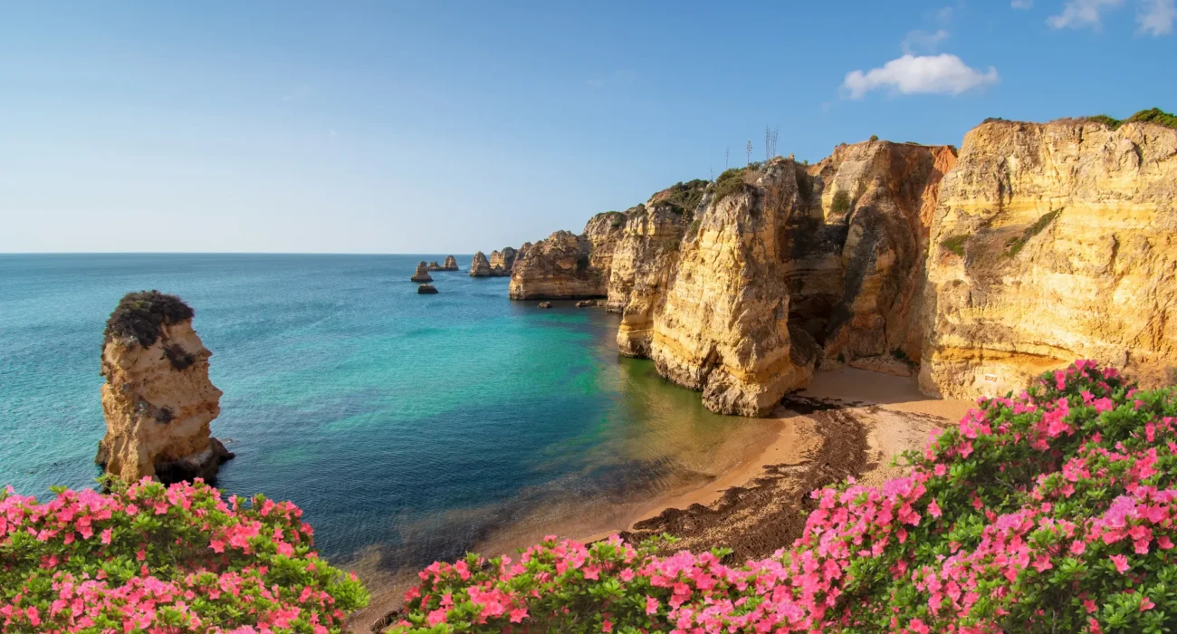 ✈️ Fly Business Class to Portugal for Just 50k Points!