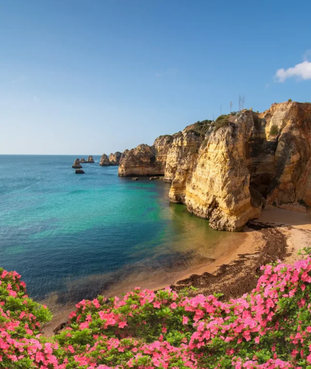 ✈️ Fly Business Class to Portugal for Just 50k Points!