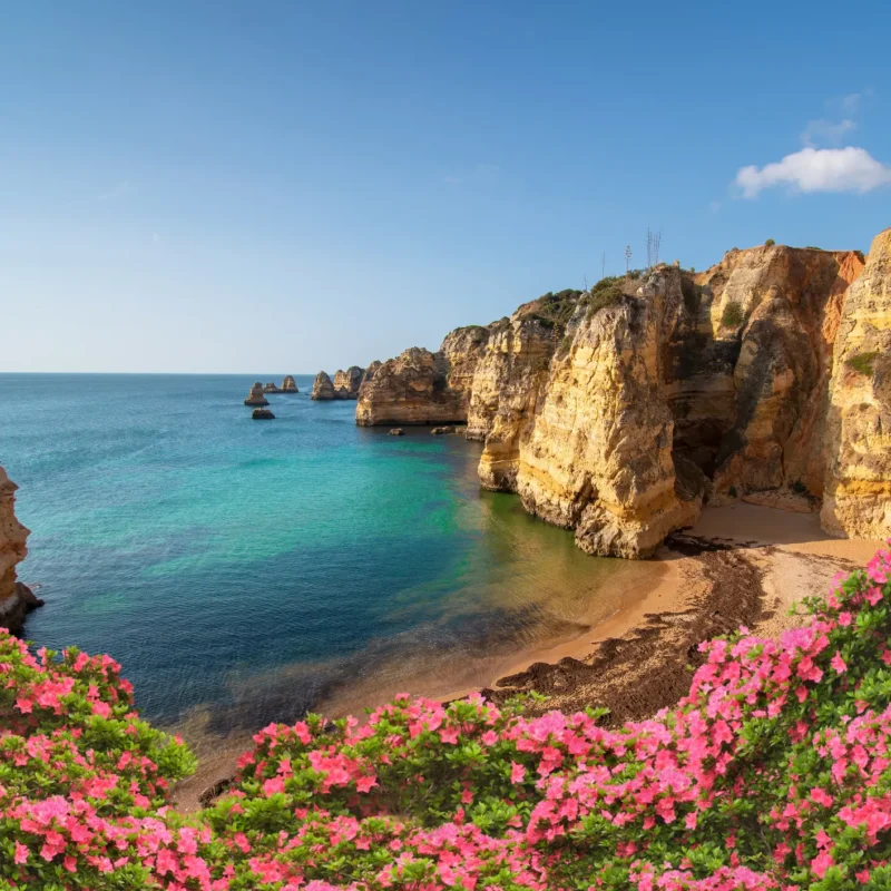 ✈️ Fly Business Class to Portugal for Just 50k Points!