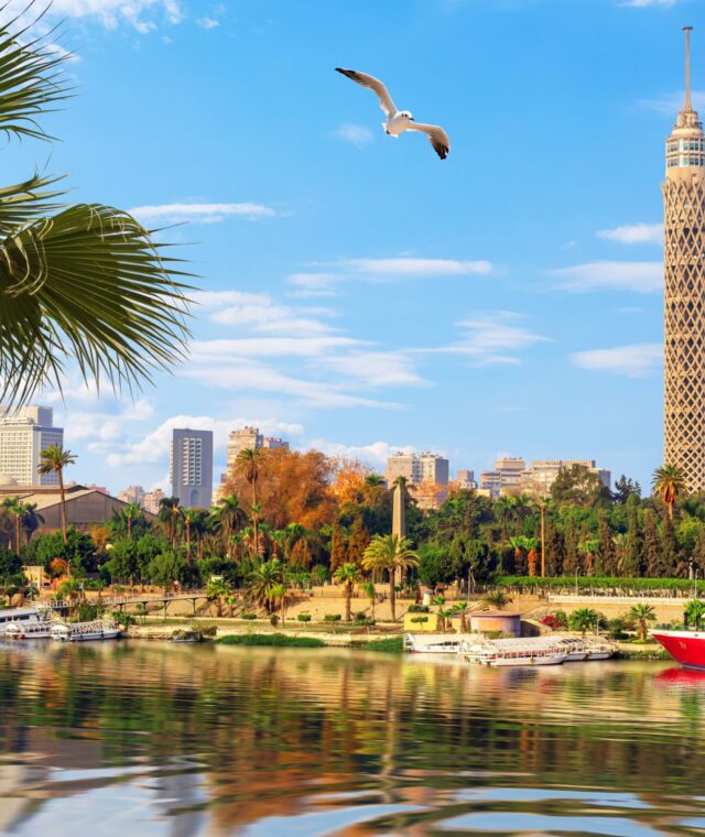 🌟 Fly Business Class to Egypt for Just $2,823 (Was $5,000)!