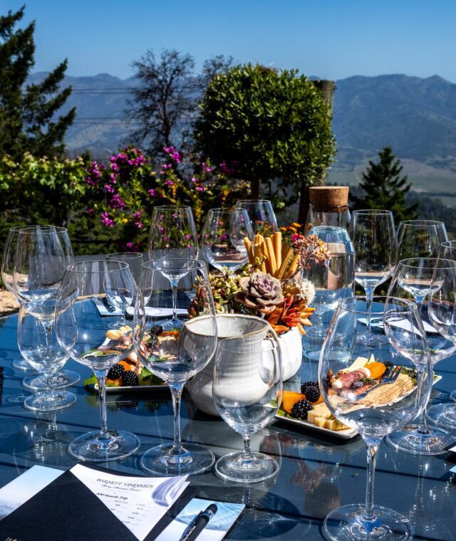 Best Wineries in Napa: Ultimate Guide to Top Napa Valley Wine Tastings in 2025 [Updated]